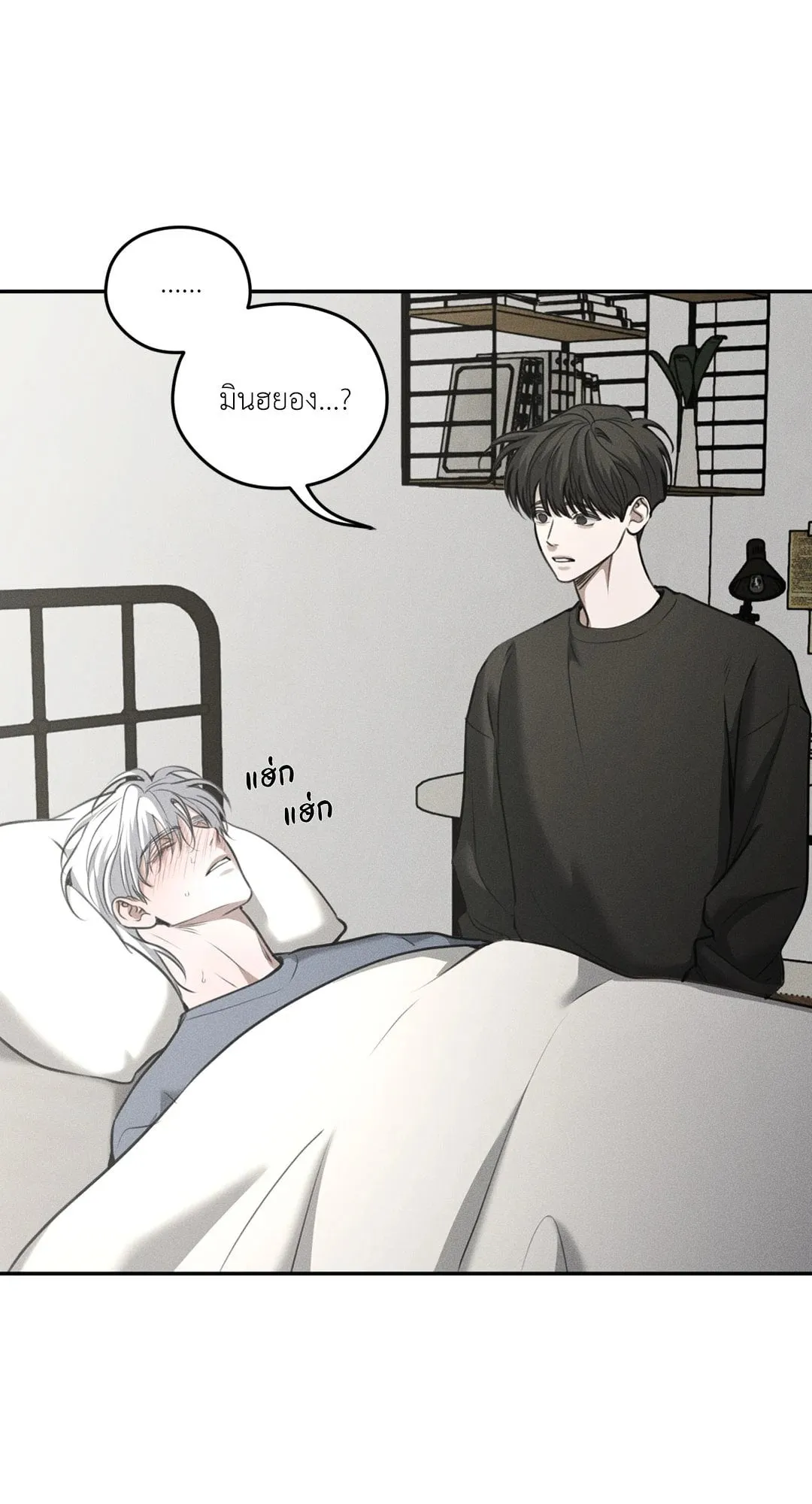 Dear Teddy Bear 4220