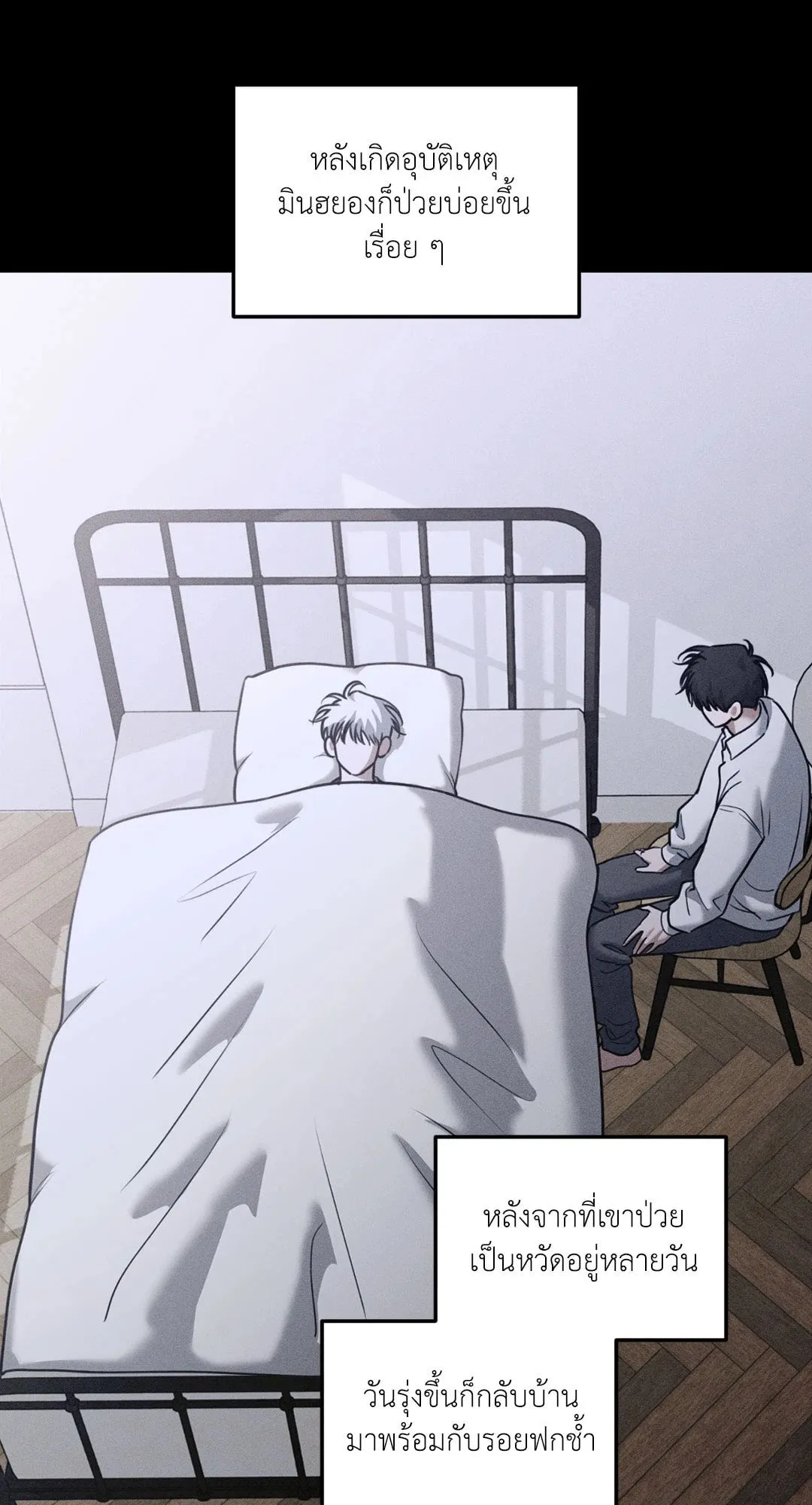 Dear Teddy Bear 4246