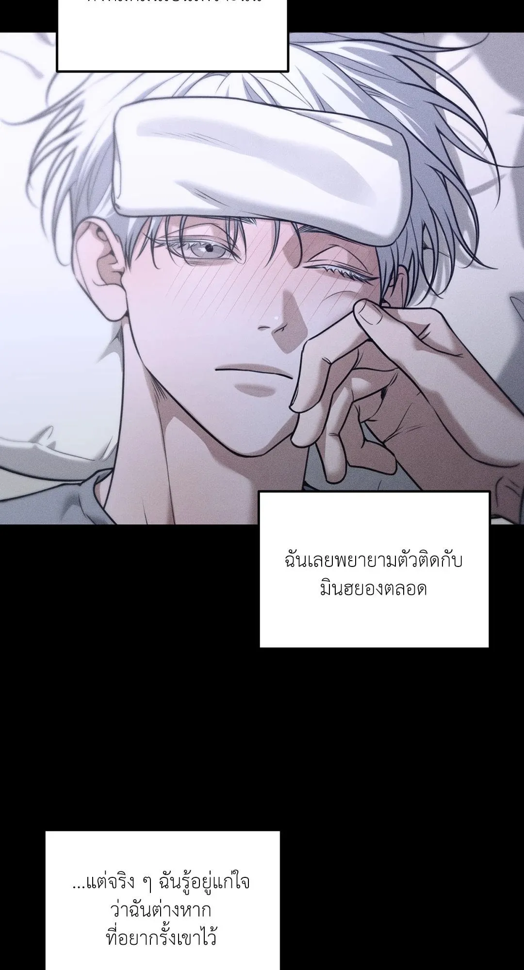 Dear Teddy Bear 4248