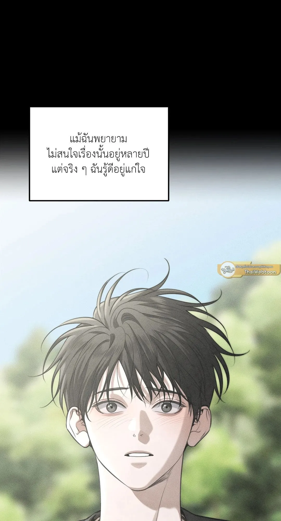 Dear Teddy Bear 4257