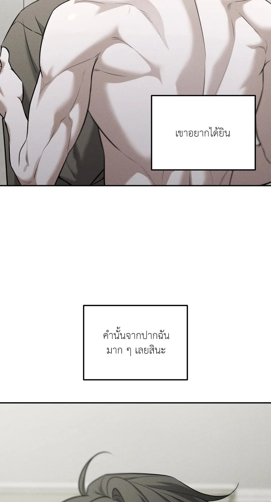 Dear Teddy Bear 4348