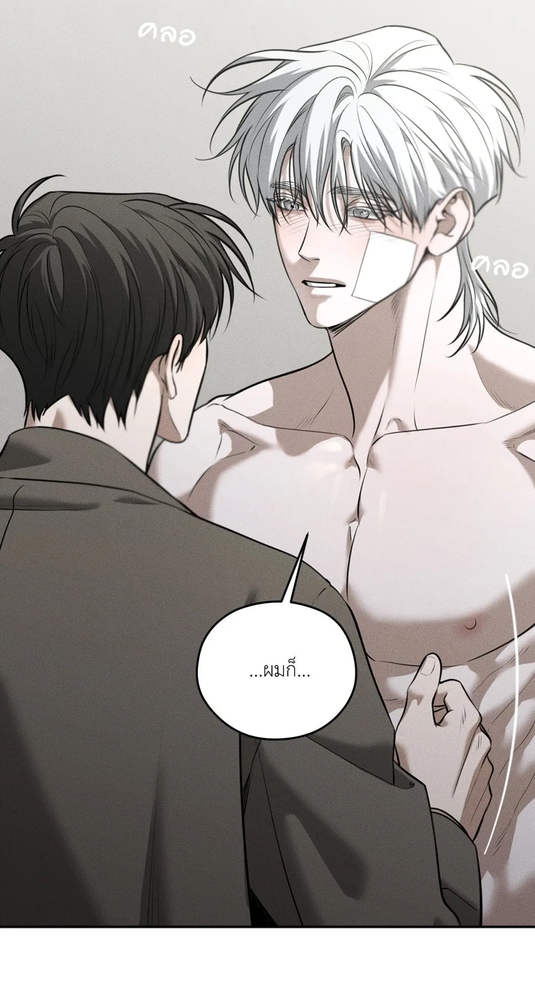 Dear Teddy Bear 4350