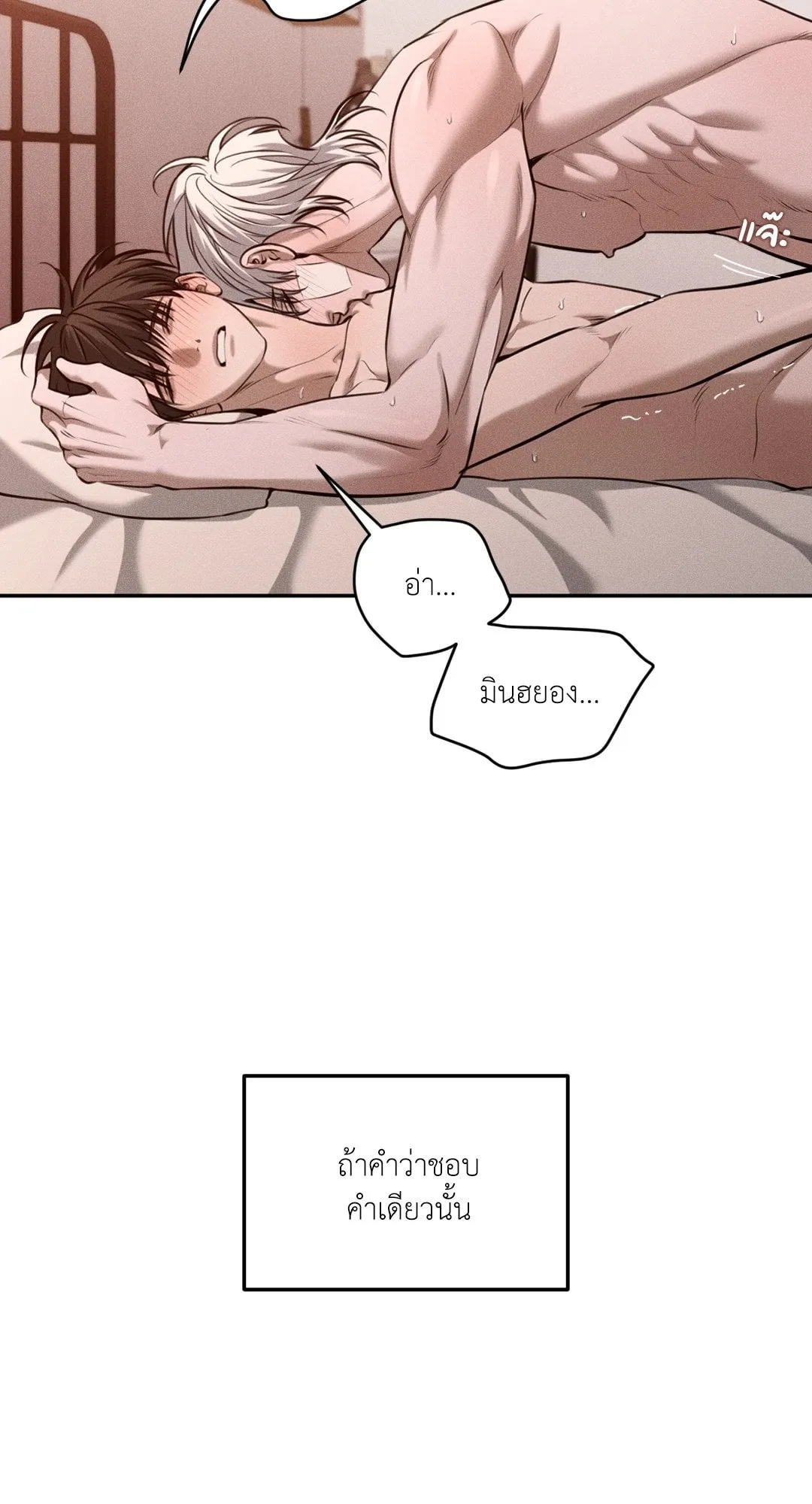 Dear Teddy Bear 4356