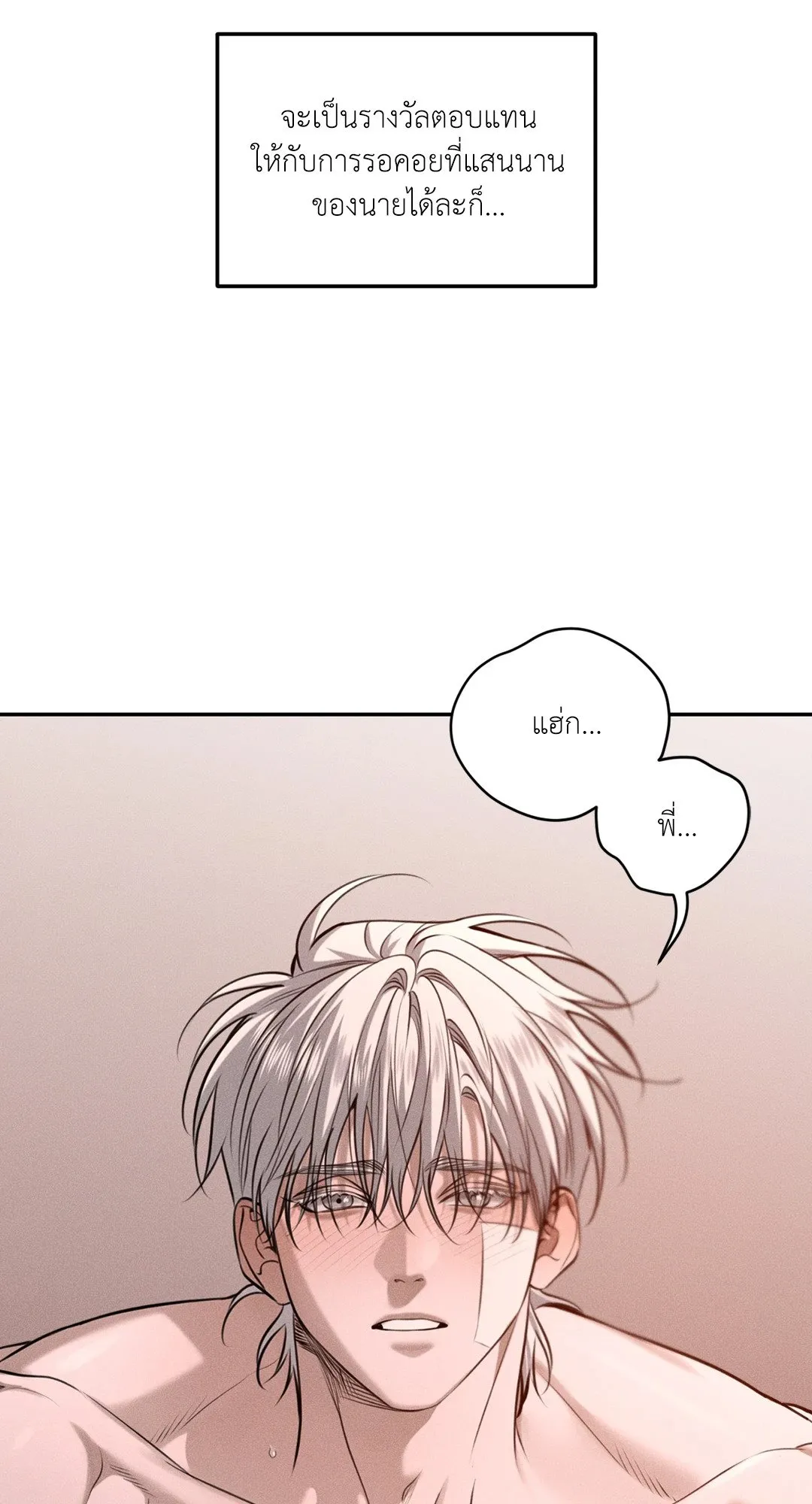 Dear Teddy Bear 4359