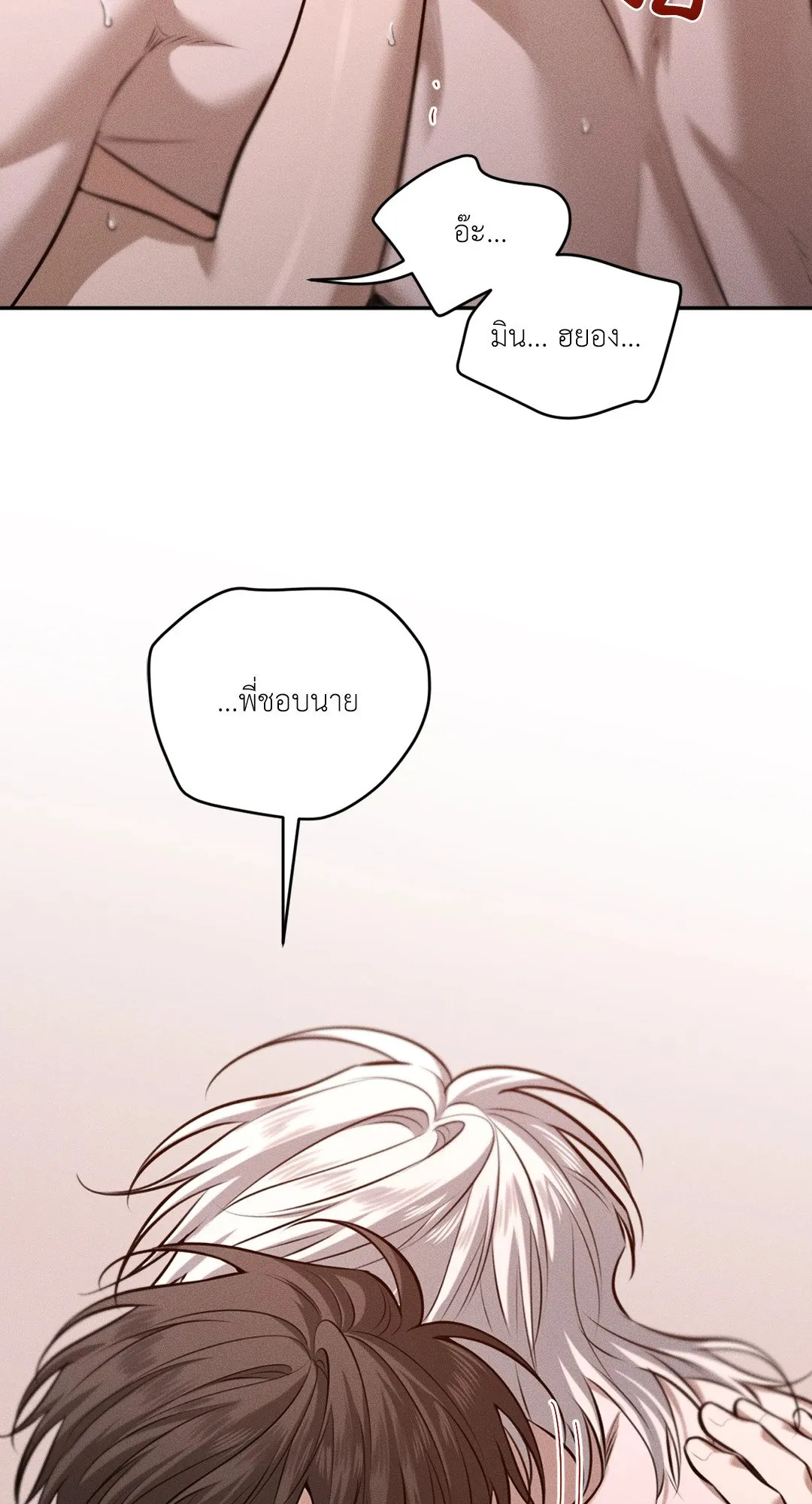 Dear Teddy Bear 4364