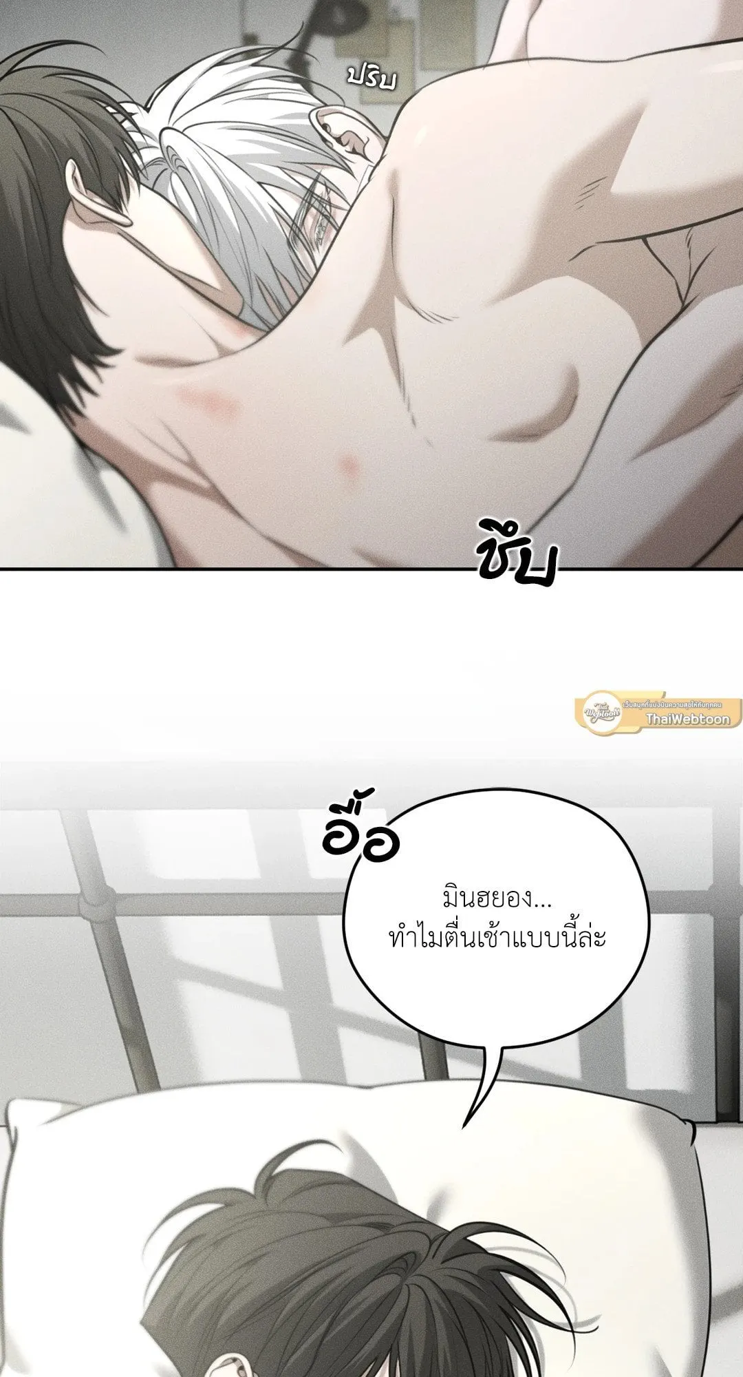 Dear Teddy Bear 4402