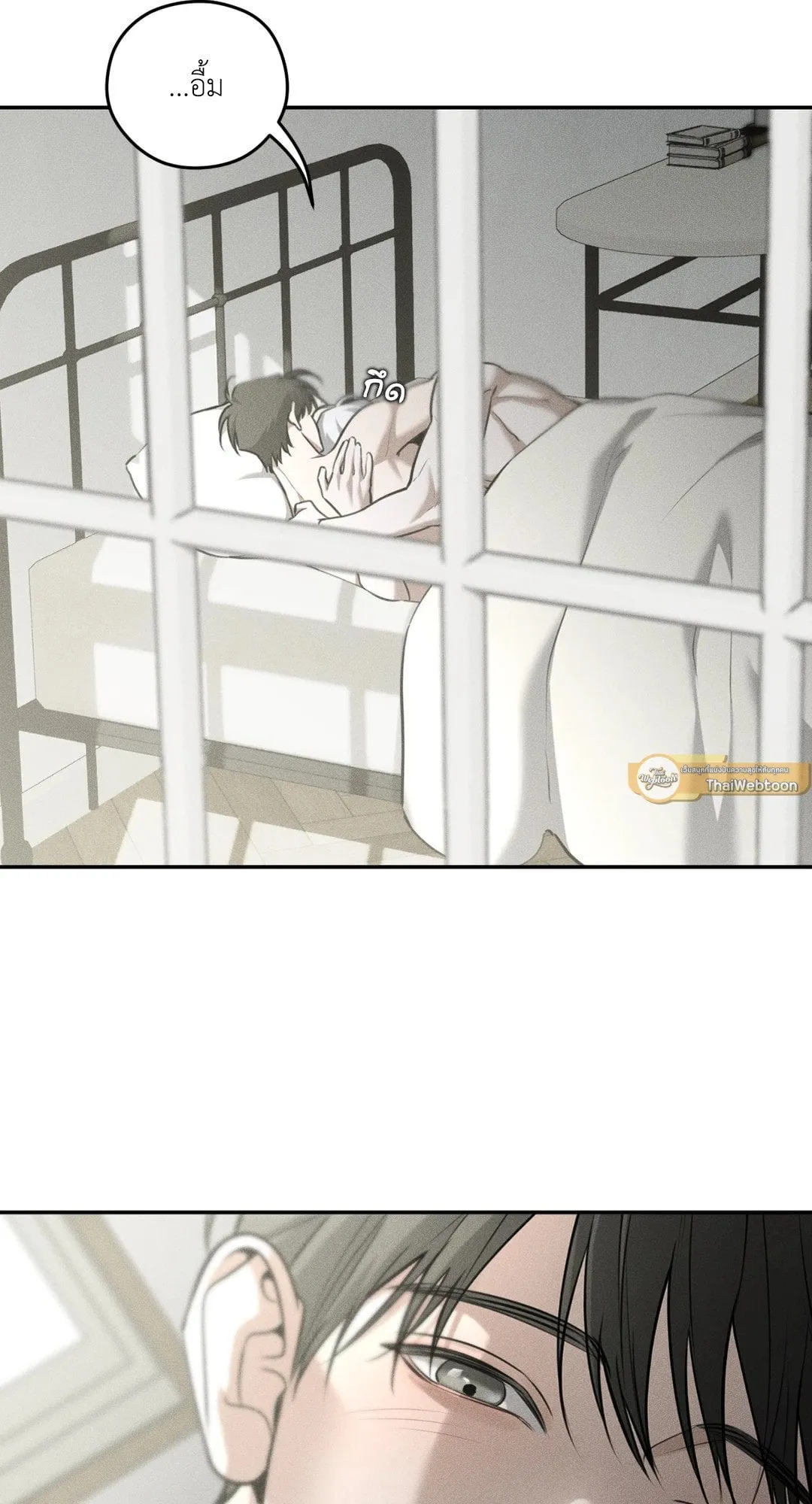 Dear Teddy Bear 4405