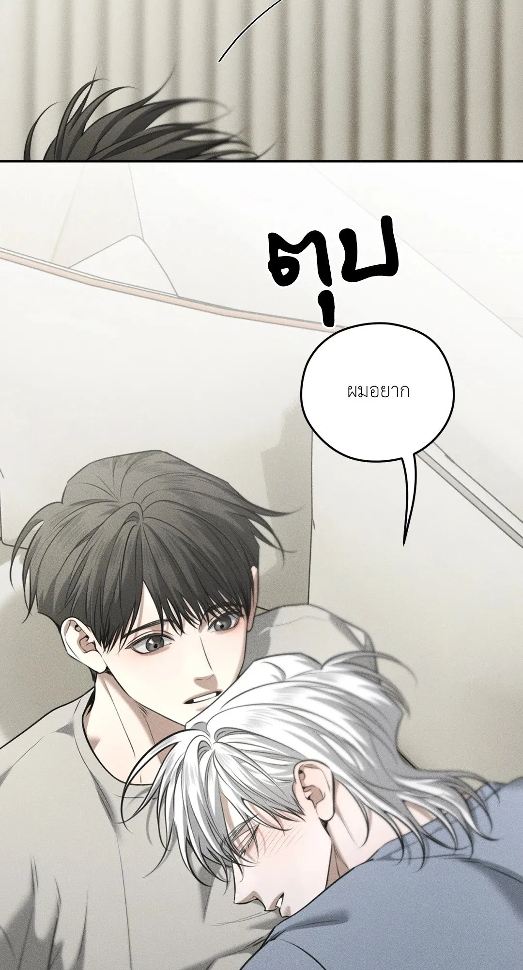 Dear Teddy Bear 4432