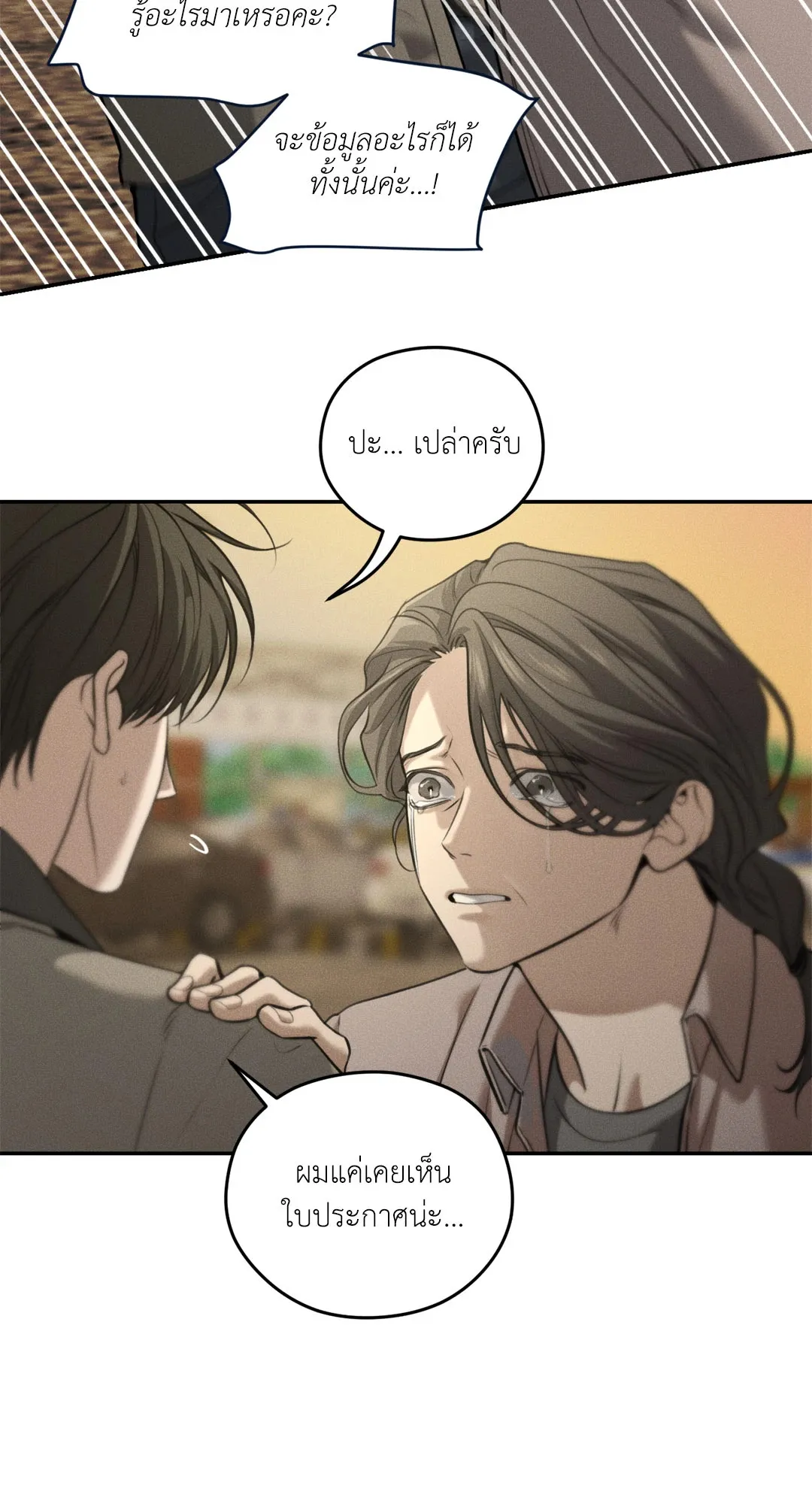 Dear Teddy Bear 4549