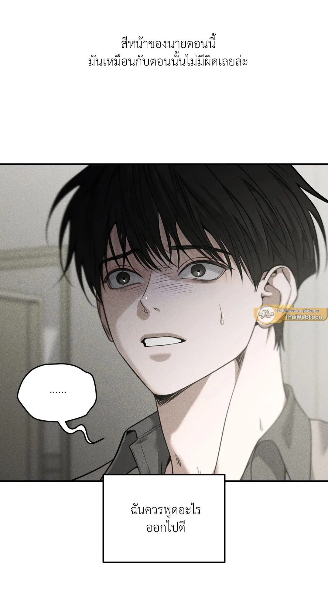 Dear Teddy Bear 4608 Dear Teddy Bear 4608