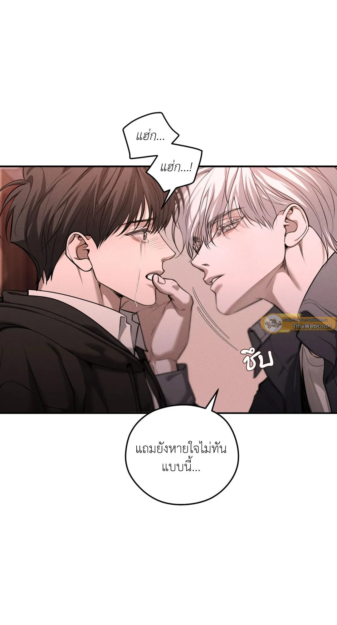 Dear Teddy Bear 4820