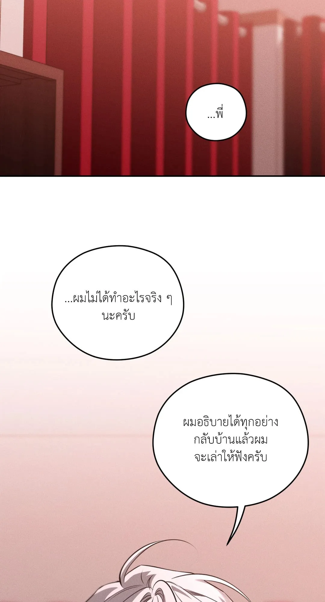 Dear Teddy Bear 4848