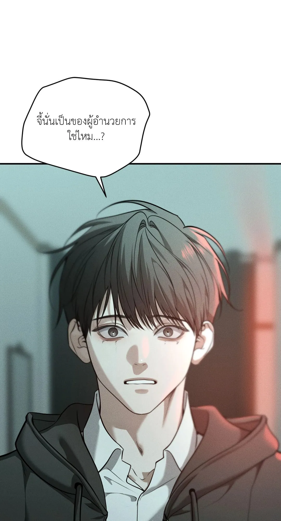 Dear Teddy Bear 4862