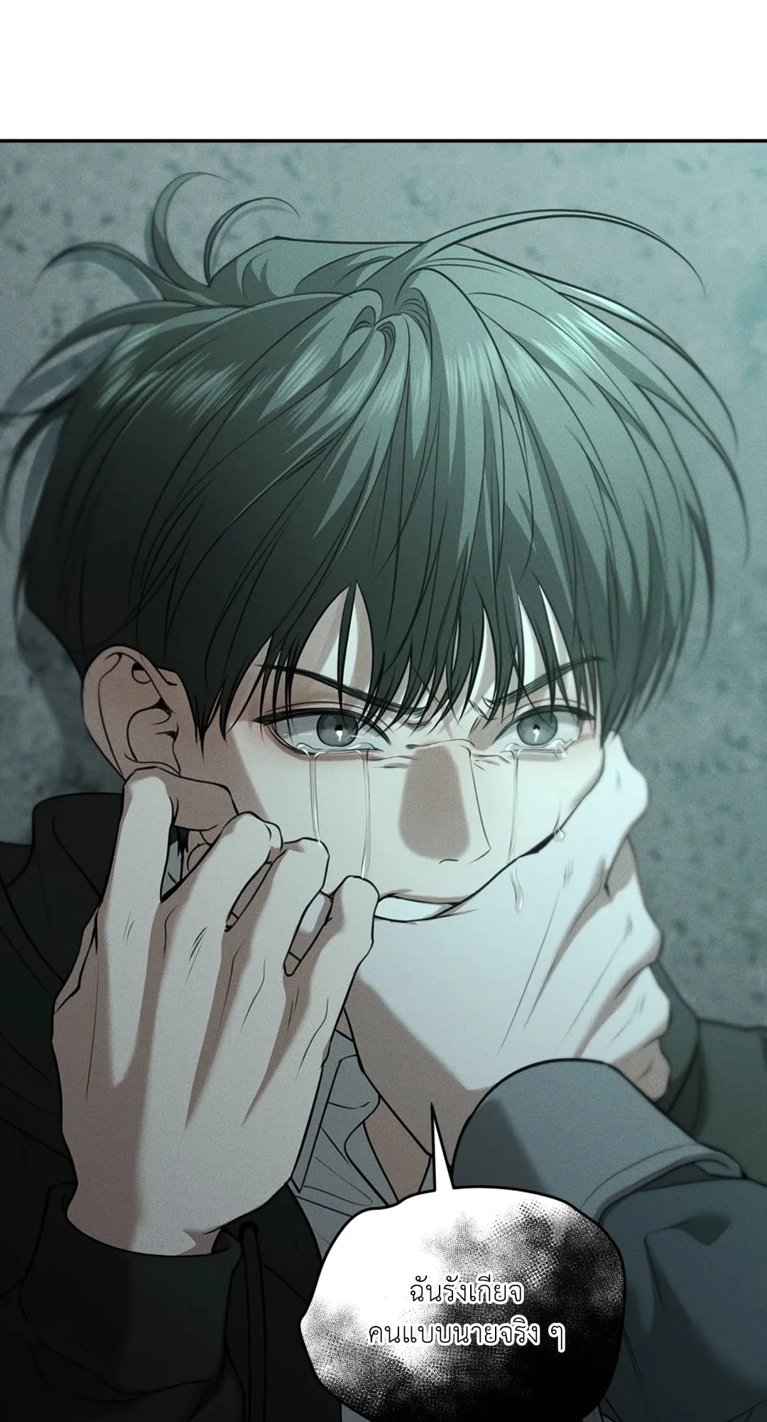 Dear Teddy Bear 4905