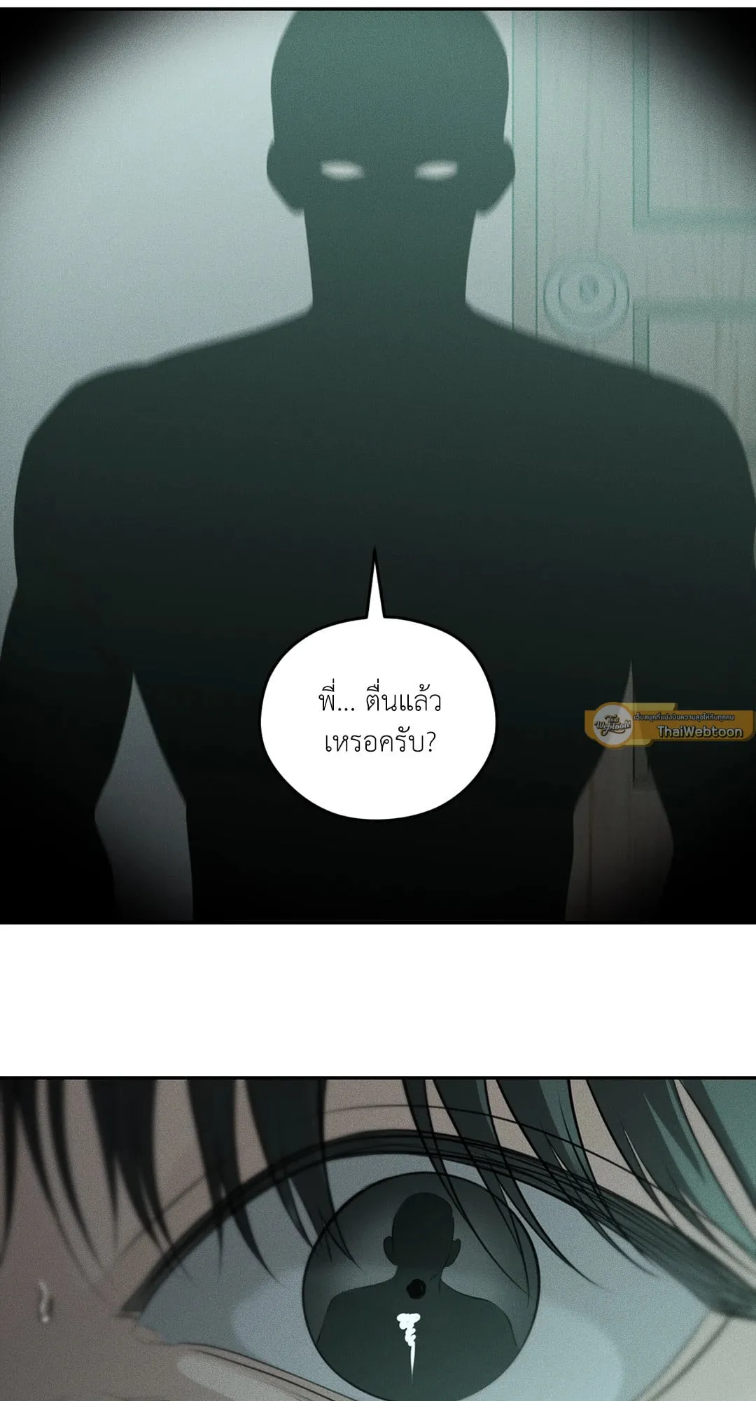 Dear Teddy Bear 4933