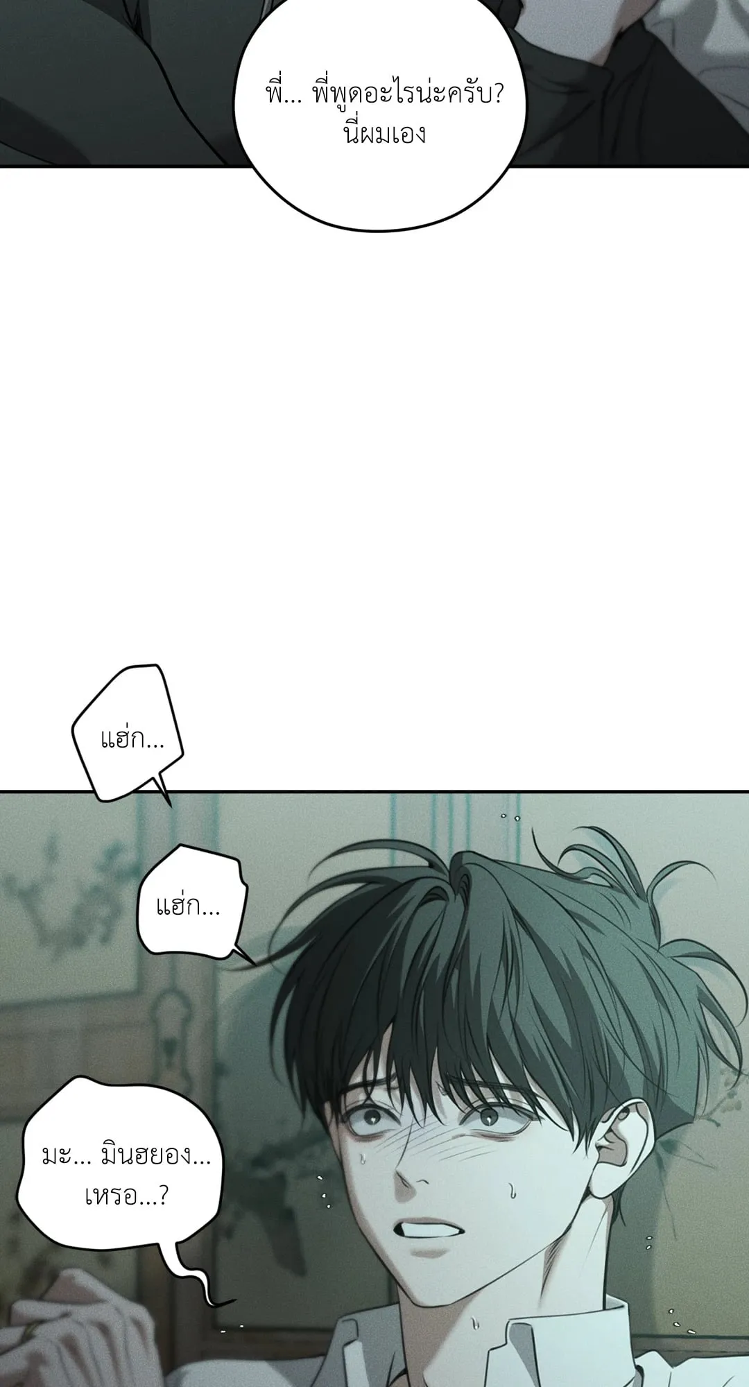 Dear Teddy Bear 4936