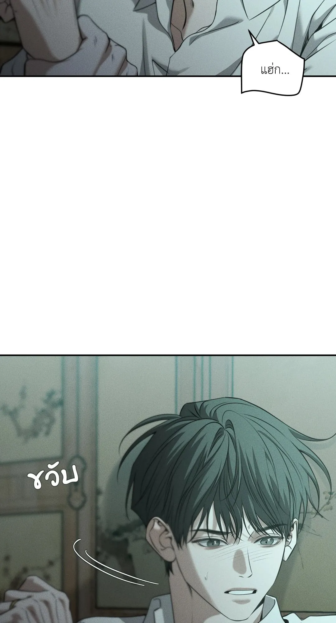 Dear Teddy Bear 4937