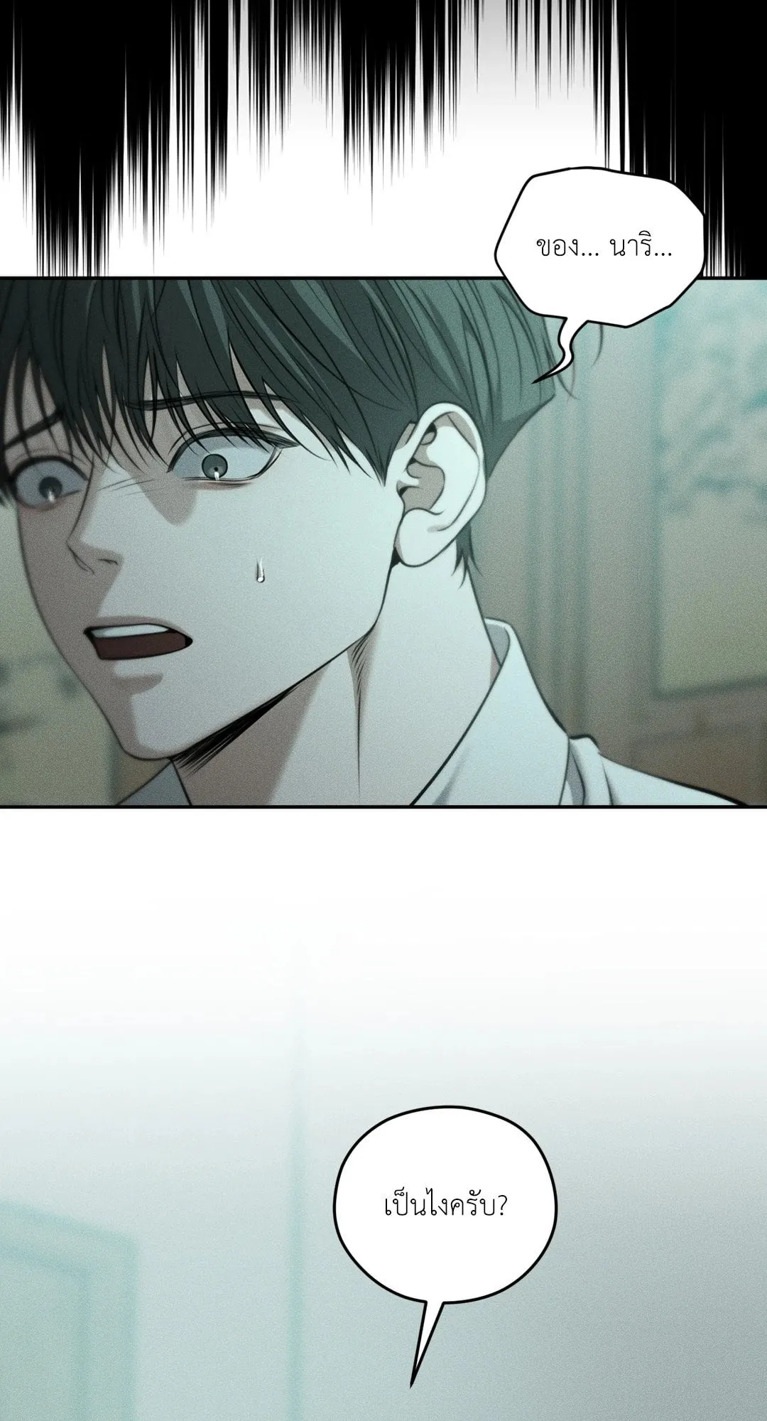 Dear Teddy Bear 4944