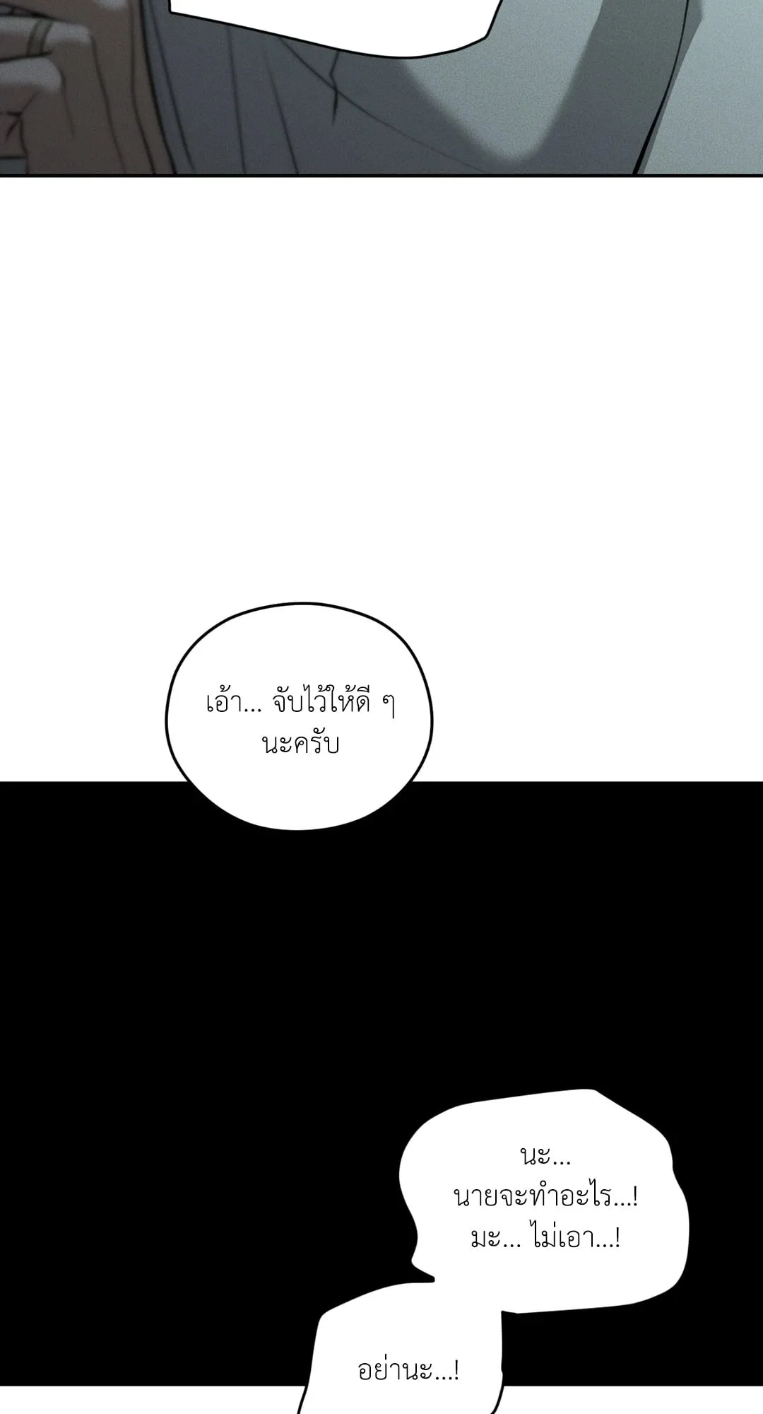 Dear Teddy Bear 4955