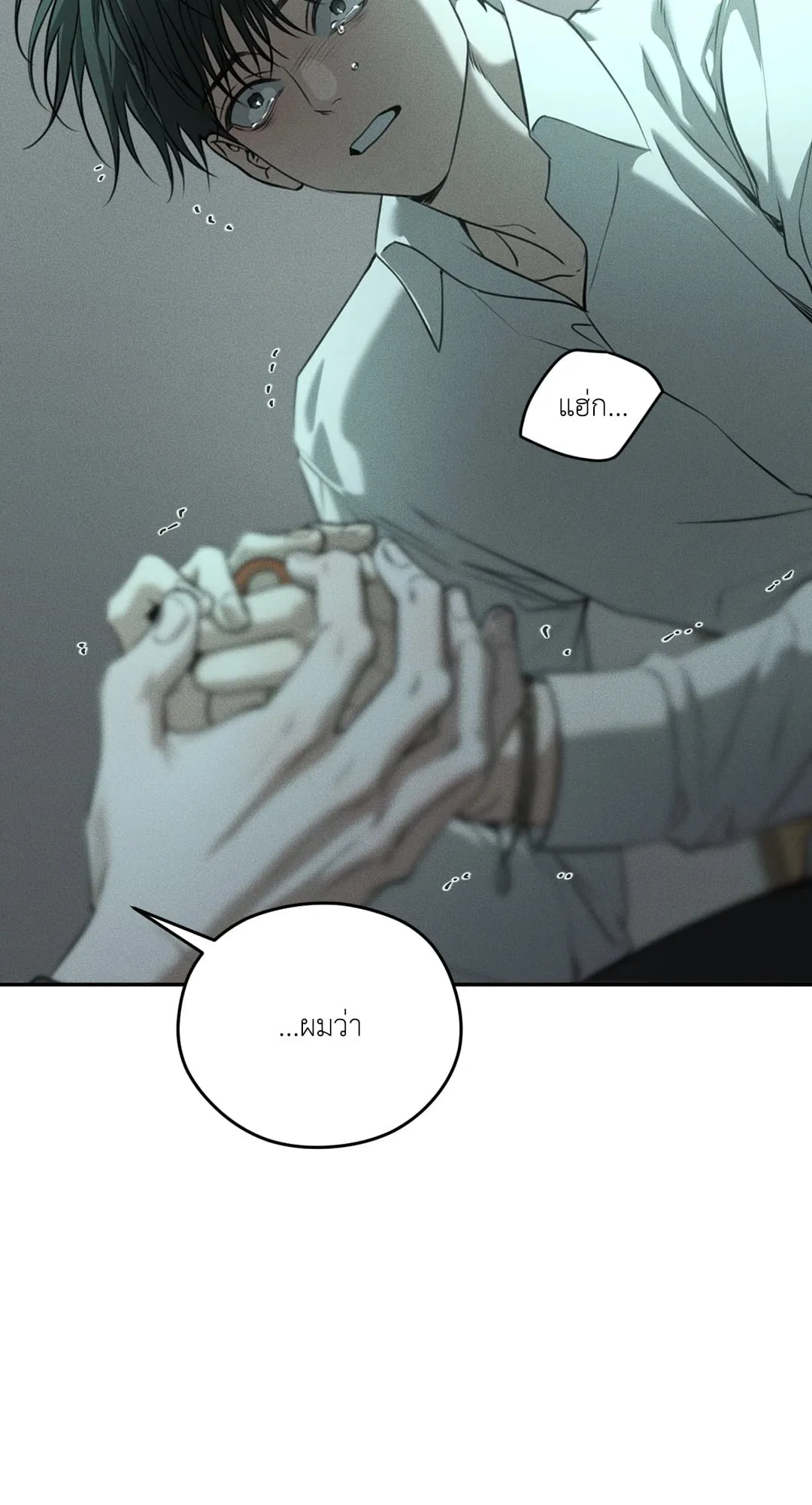 Dear Teddy Bear 4964