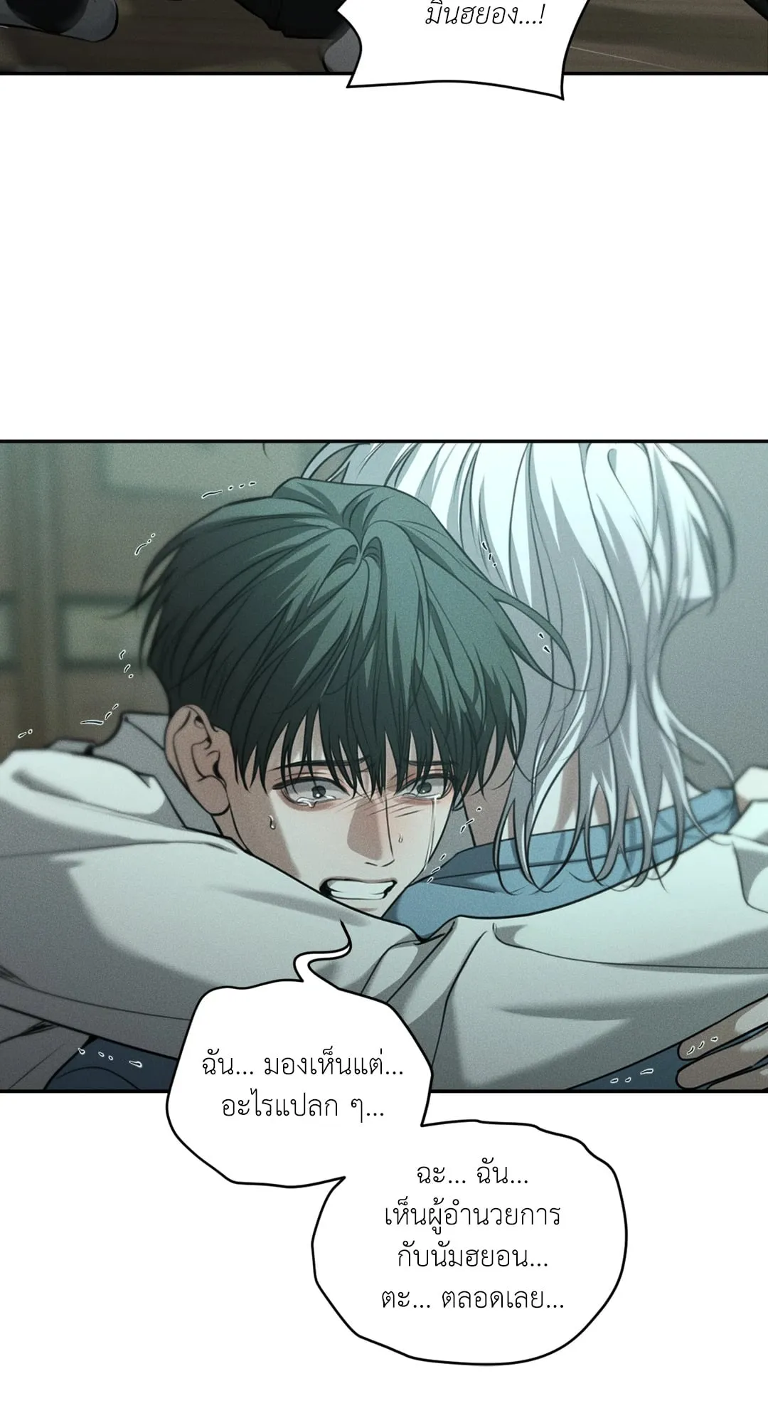 Dear Teddy Bear 5056