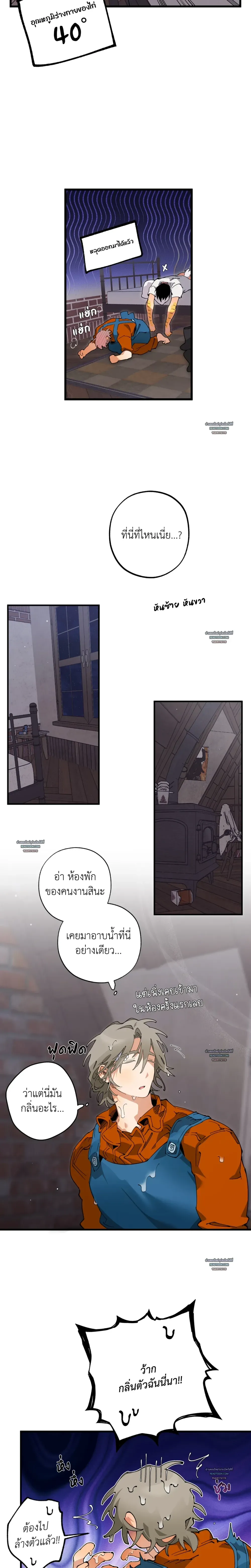 Mr.A’s Farm ตอนที่ 1107