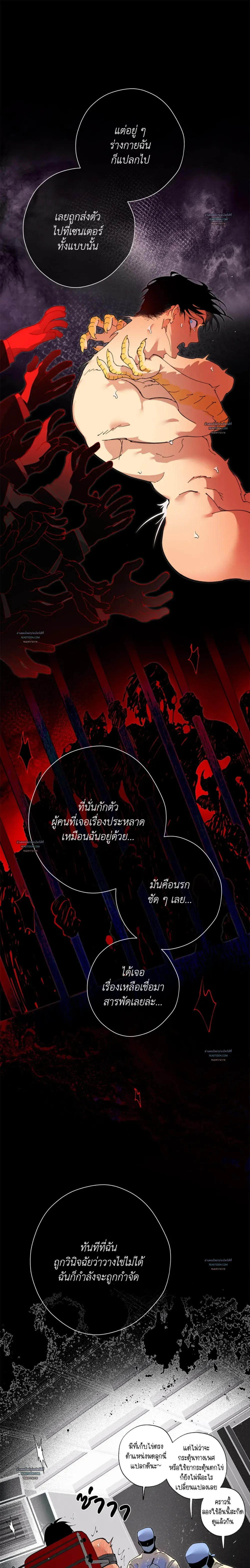 Mr.A’s Farm ตอนที่ 1314