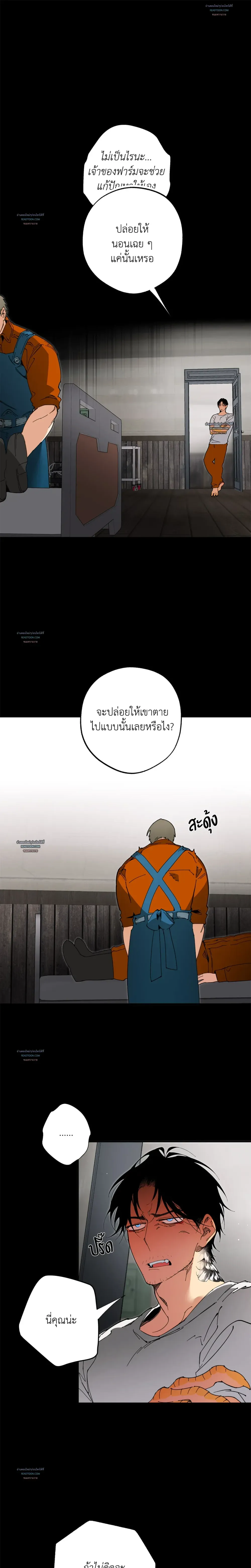Mr.A’s Farm ตอนที่ 1318