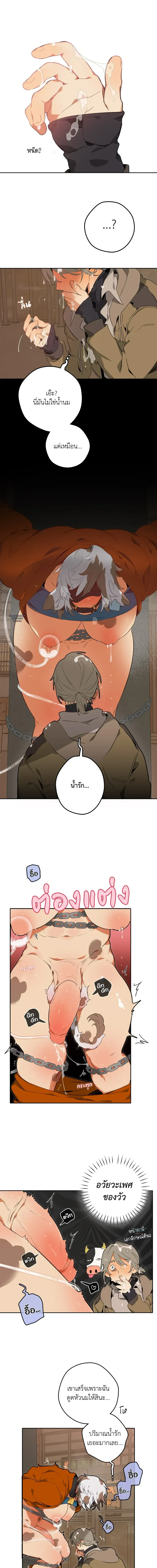Mr.A’s Farm ตอนที่ 311