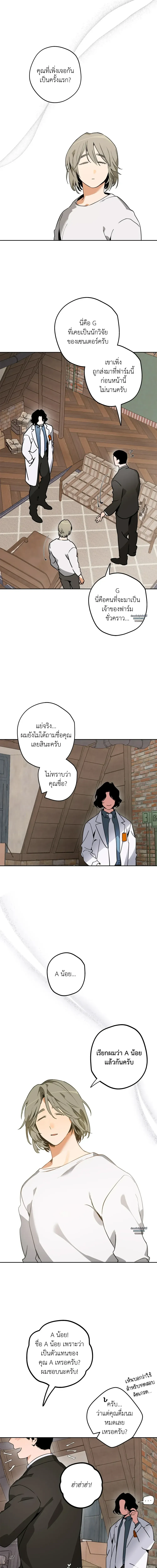 Mr.A’s Farm ตอนที่ 425