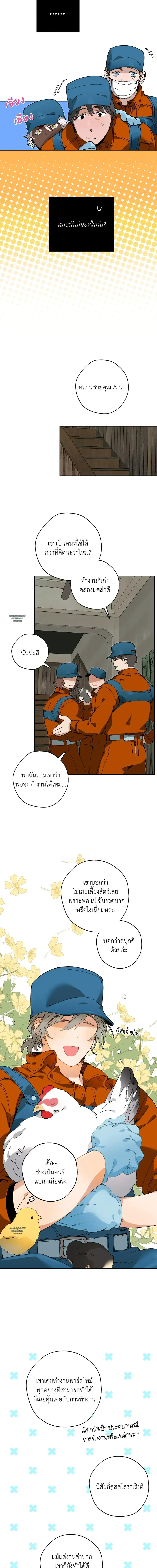 Mr.A’s Farm ตอนที่ 517