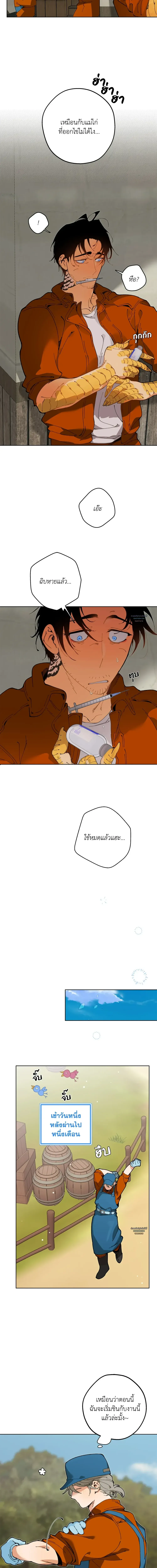 Mr.A’s Farm ตอนที่ 519