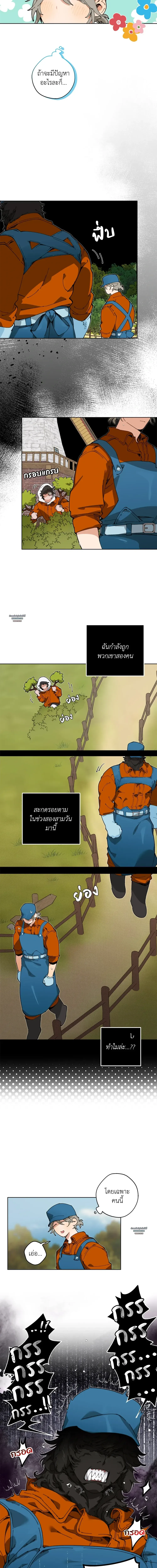 Mr.A’s Farm ตอนที่ 521