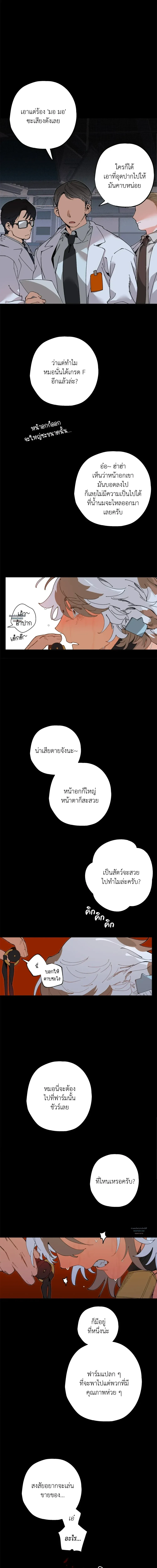 Mr.A’s Farm ตอนที่ 607