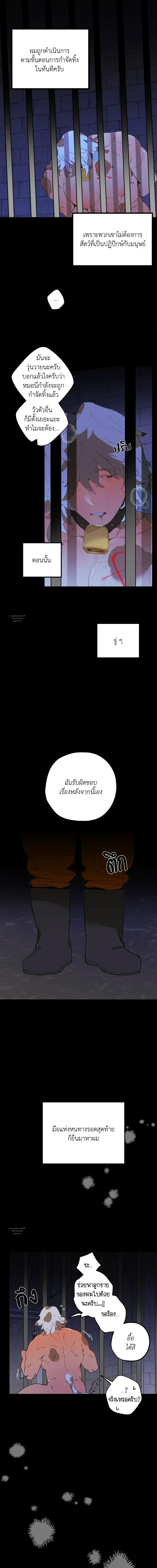 Mr.A’s Farm ตอนที่ 609