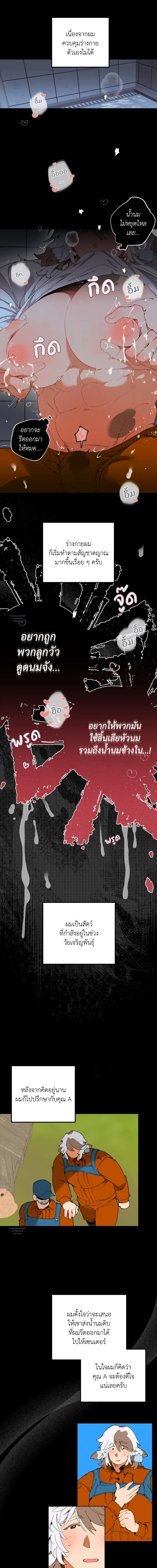 Mr.A’s Farm ตอนที่ 619