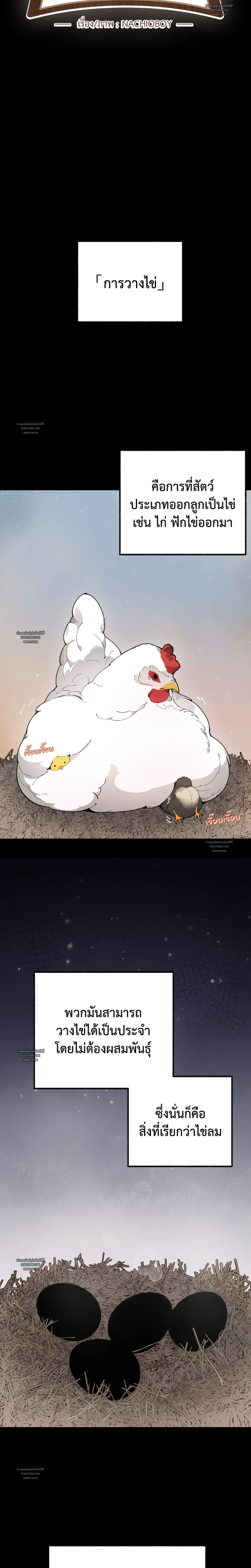 Mr.A’s Farm ตอนที่ 806