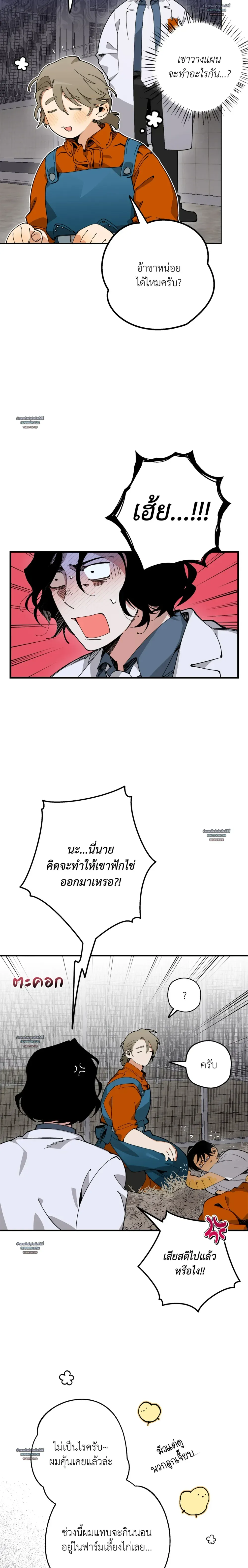 Mr.A’s Farm ตอนที่ 815