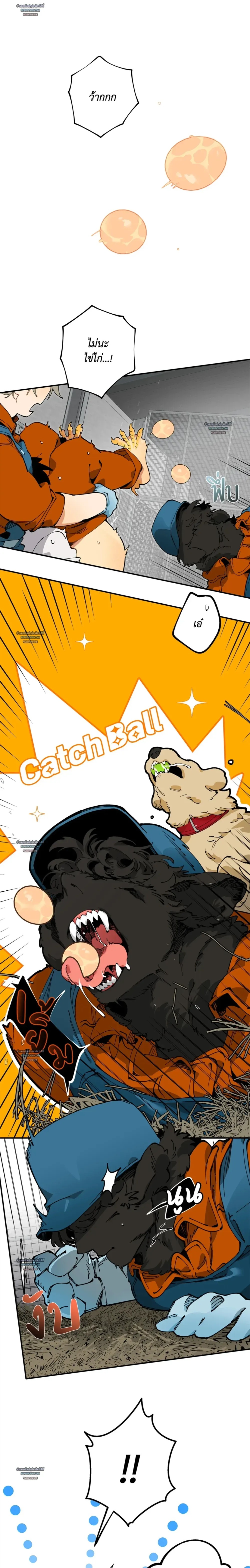 Mr.A’s Farm ตอนที่ 901