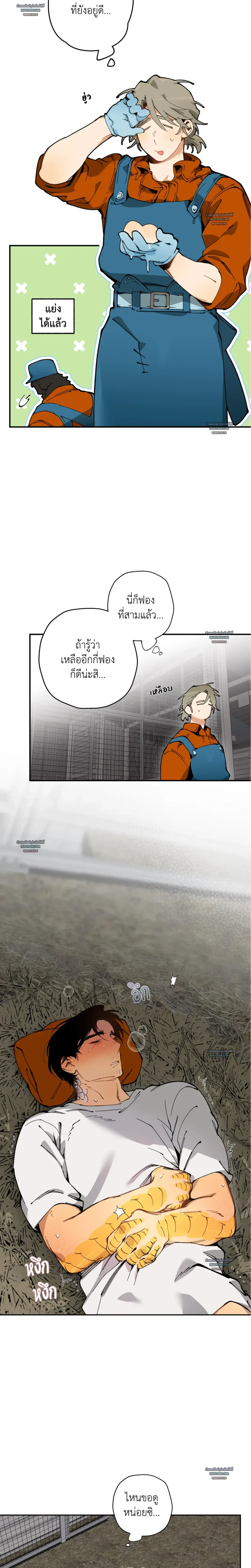 Mr.A’s Farm ตอนที่ 903