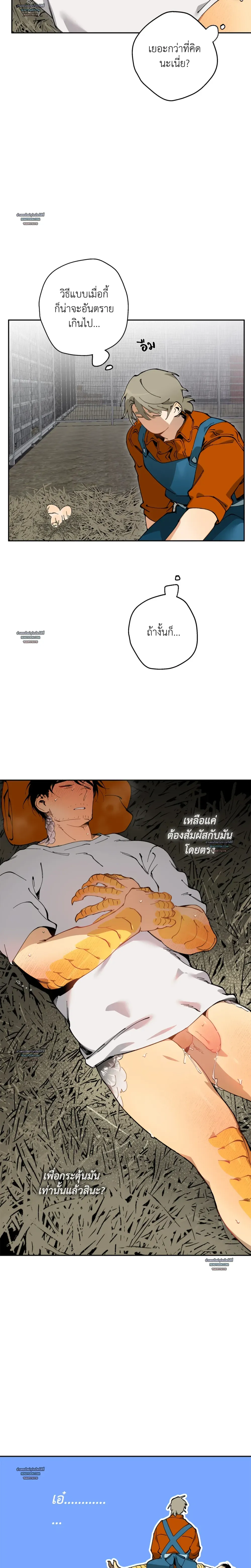 Mr.A’s Farm ตอนที่ 905