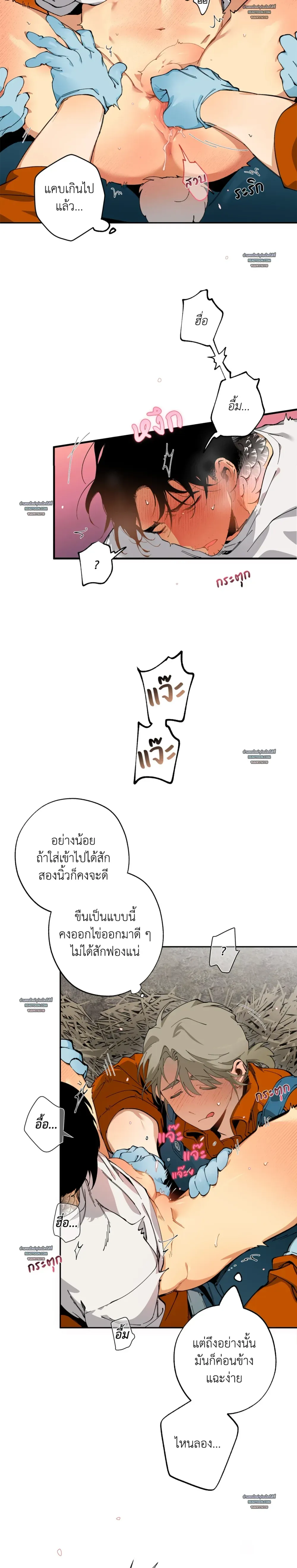 Mr.A’s Farm ตอนที่ 910