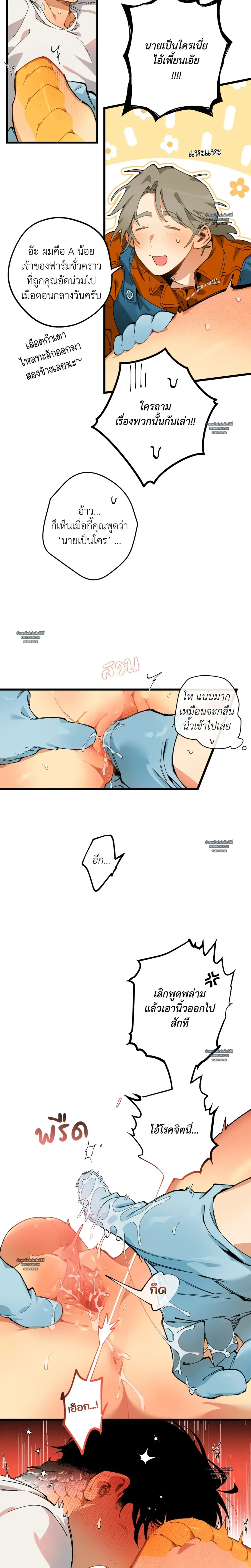 Mr.A’s Farm ตอนที่ 913