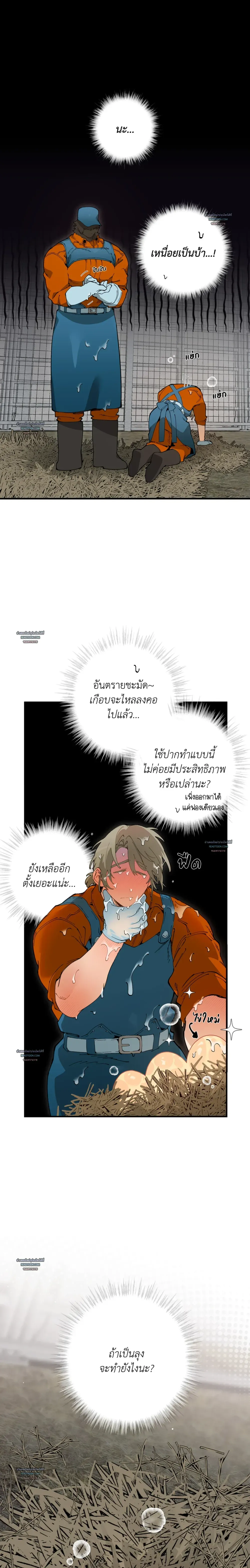Mr.A’s Farm ตอนที่ 922