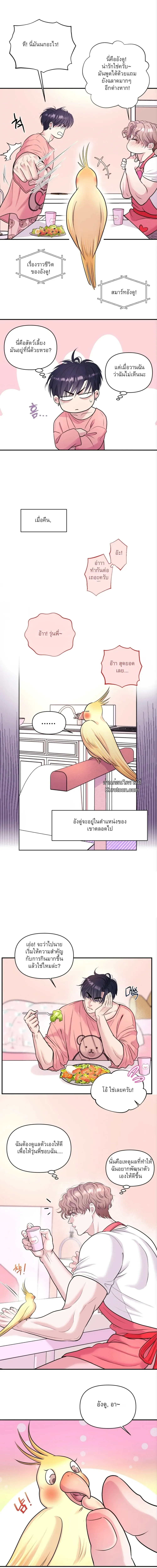 ชิมก่อนกิน ตอนที่ 1209