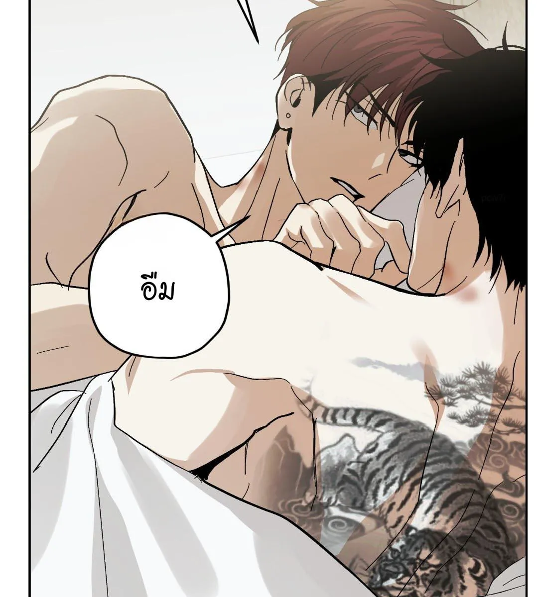 หลงกลเสือร้าย ตอนที่ 15065 หลงกลเสือร้าย ตอนที่ 15065