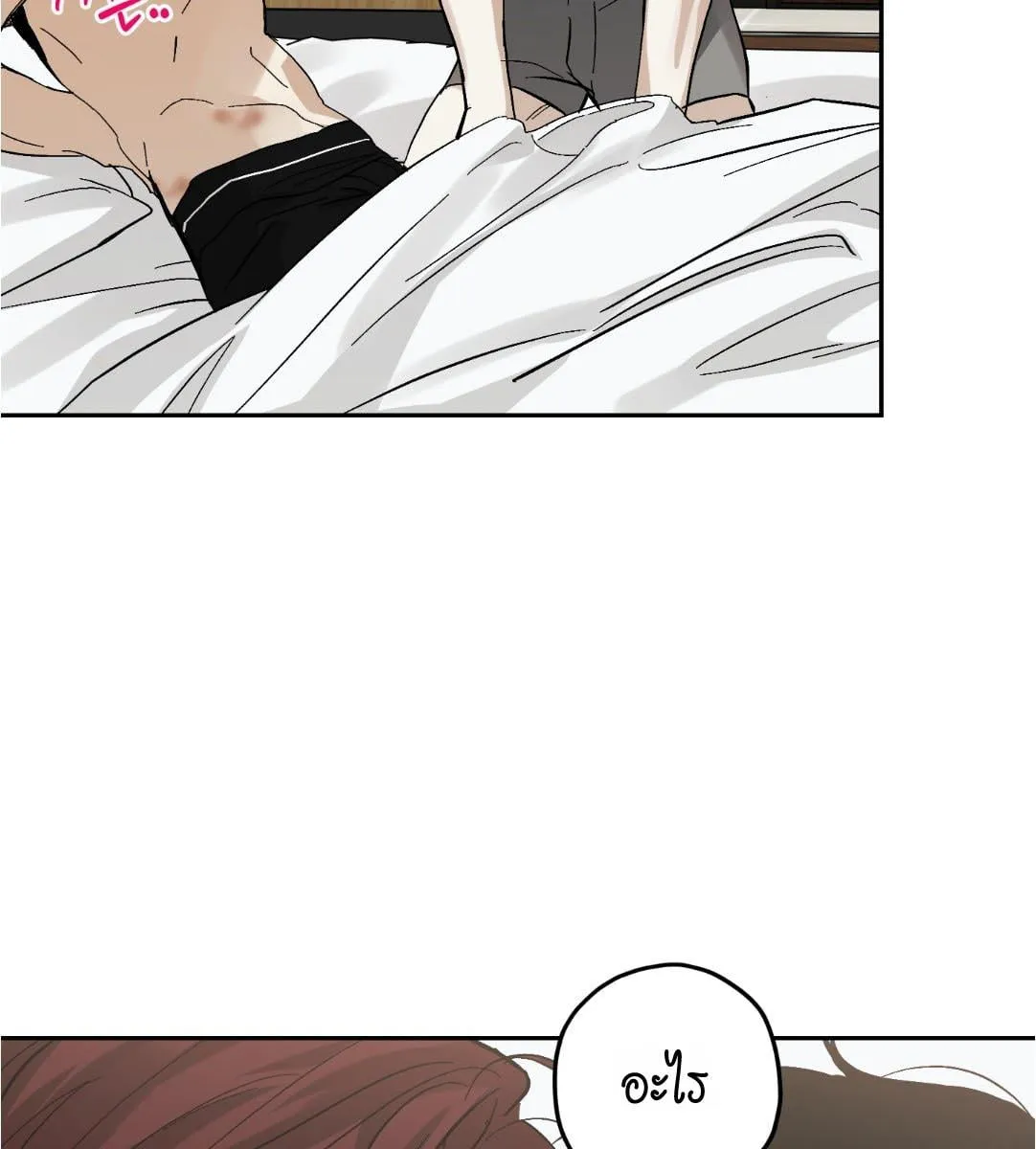 หลงกลเสือร้าย ตอนที่ 15074 หลงกลเสือร้าย ตอนที่ 15074